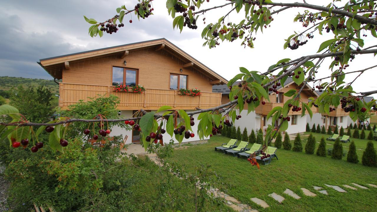 Green Resort Bran Bran  Extérieur photo